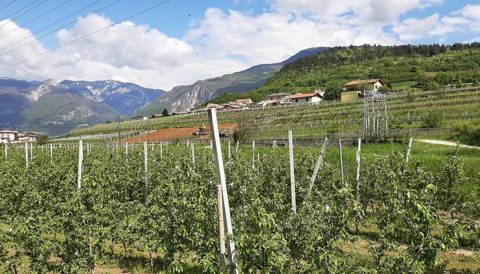 Genussradln am Gardasee