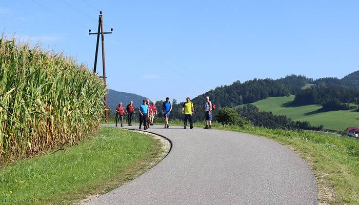 Landeswandertag