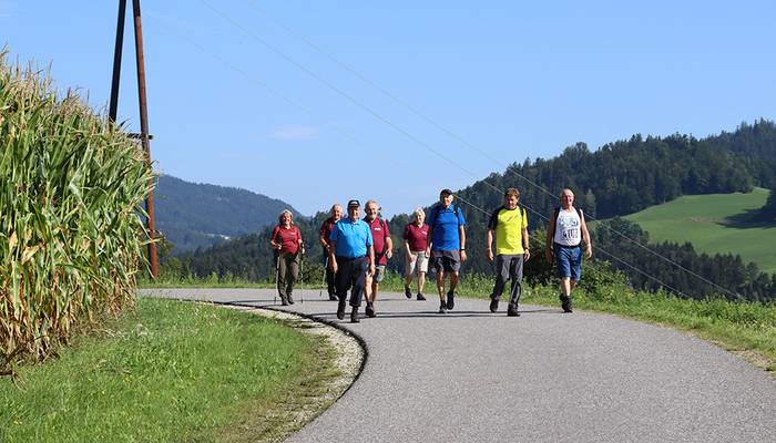 Landeswandertag