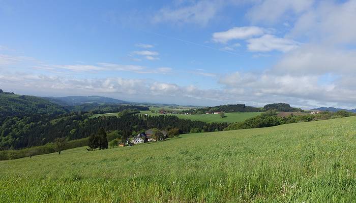 Pilgern - Maria Taferl