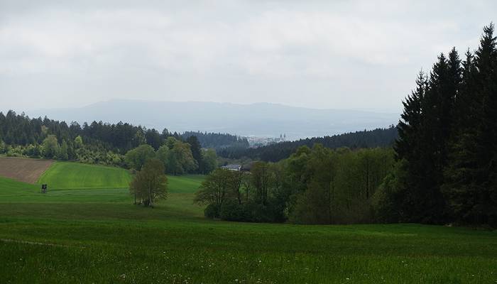 Pilgern - Maria Taferl