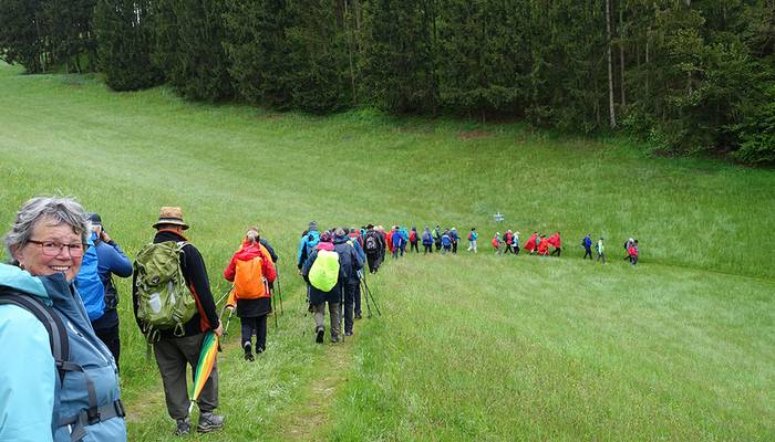 Pilgern - Maria Taferl