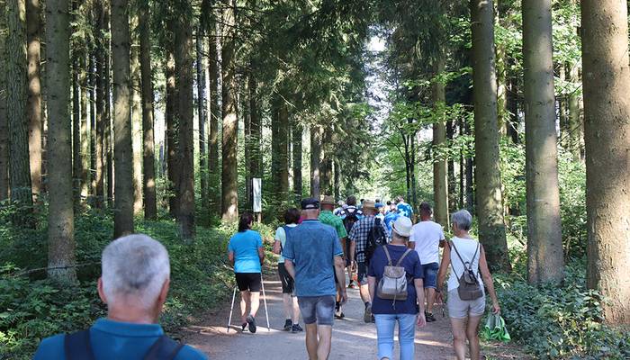 Landeswandertag Freistadt