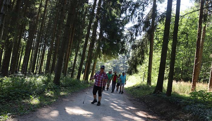 Landeswandertag Freistadt
