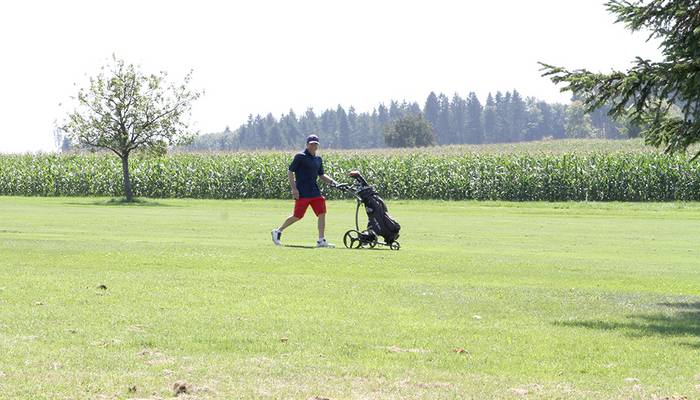 Landes-Golftage Pischelsdorf