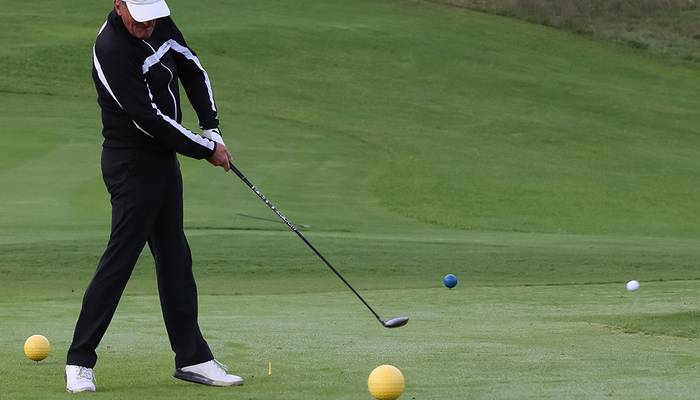 Bundes-Golftage