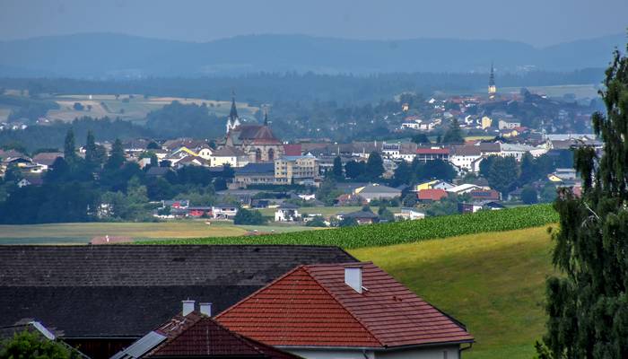 Landes-Radtag – Rohrbach-Berg