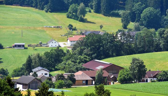 Landes-Radtag – Rohrbach-Berg