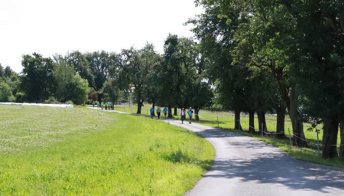 Landeswandertag Sigharting
