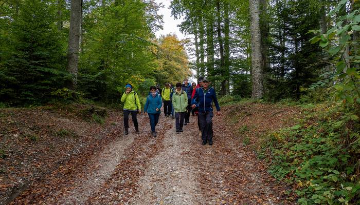 Almwandertag - Grünberg