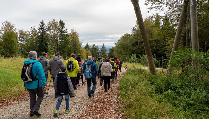 Almwandertag - Grünberg