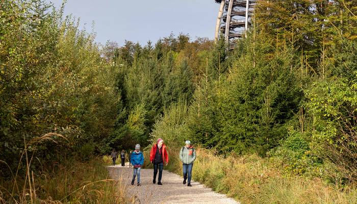 Almwandertag - Grünberg