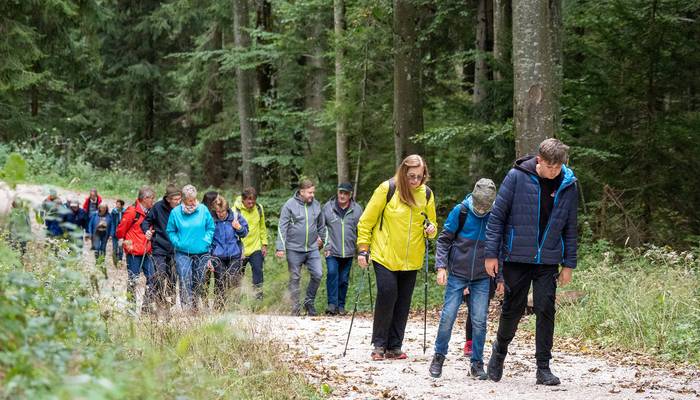 Almwandertag - Grünberg