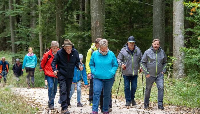 Almwandertag - Grünberg