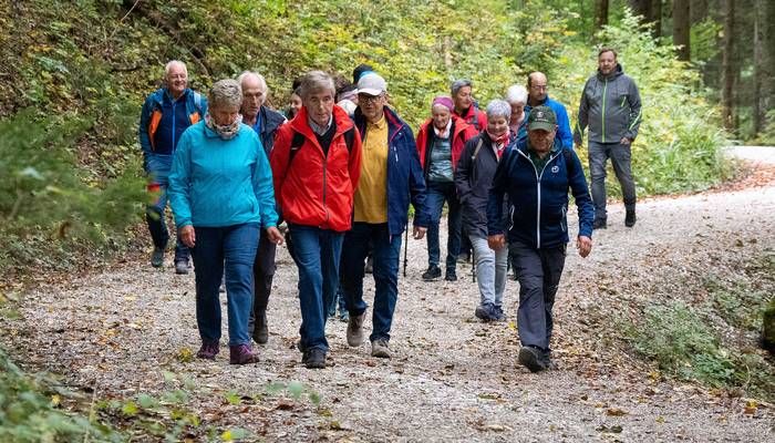 Almwandertag - Grünberg