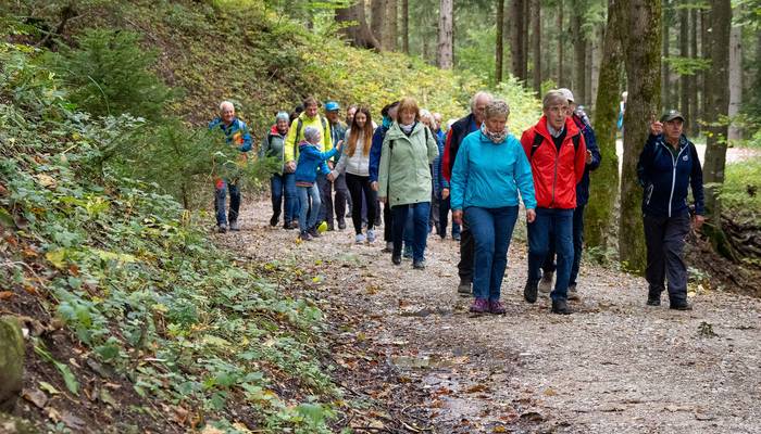 Almwandertag - Grünberg