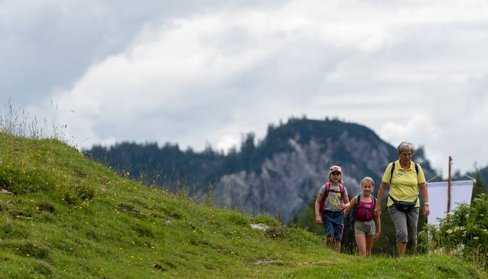 Almwandertag
