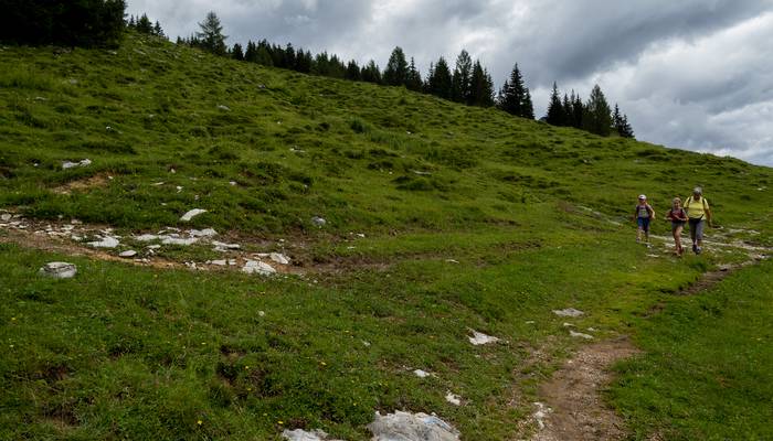 Almwandertag