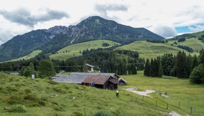 Almwandertag