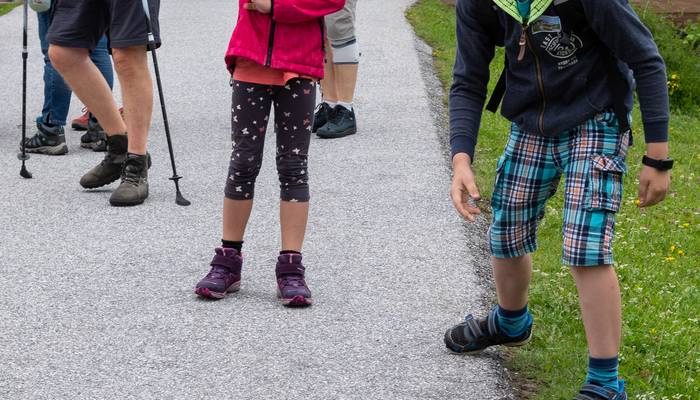 Almwandertag
