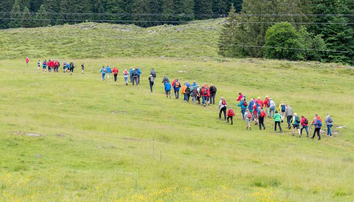 Almwandertag