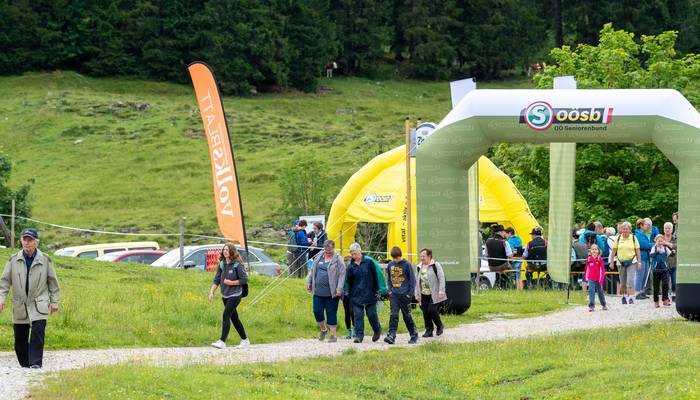 Almwandertag