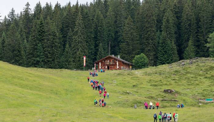 Almwandertag
