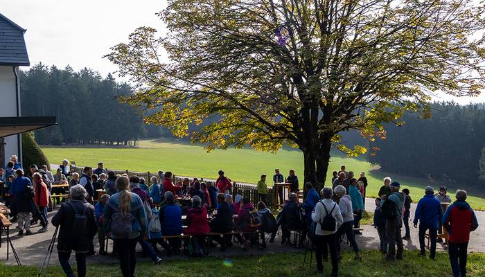 Almwandertag - Eidenberg