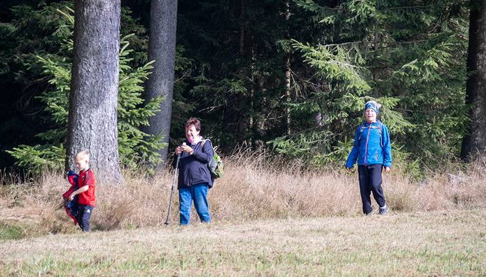 Almwandertag - Eidenberg