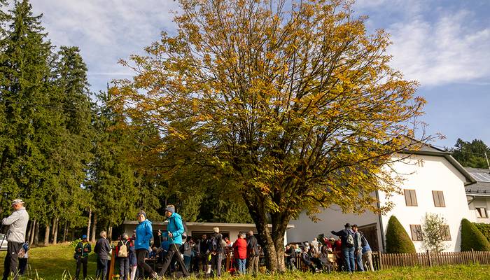 Almwandertag - Eidenberg