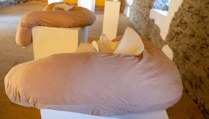 Almwandertag Helfenberg