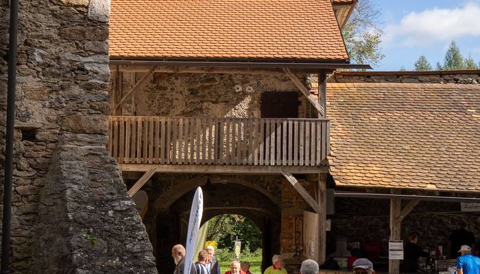 Almwandertag Helfenberg