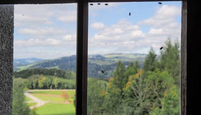 Almwandertag Helfenberg