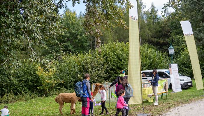 Almwandertag Helfenberg