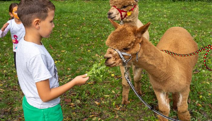 Almwandertag Helfenberg