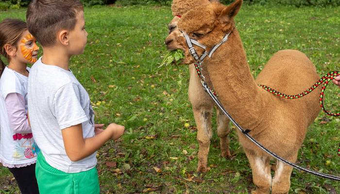 Almwandertag Helfenberg