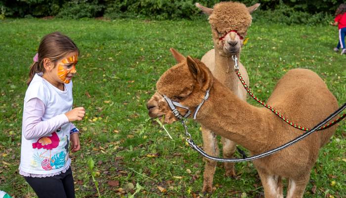 Almwandertag Helfenberg