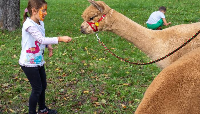 Almwandertag Helfenberg