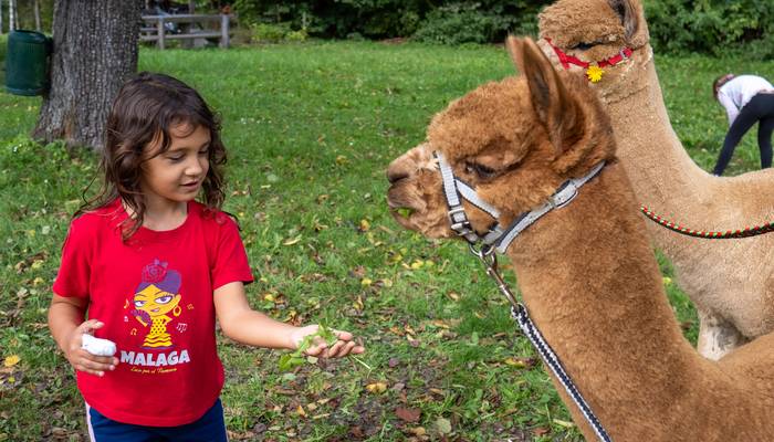 Almwandertag Helfenberg