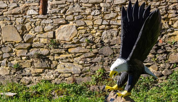 Almwandertag Helfenberg