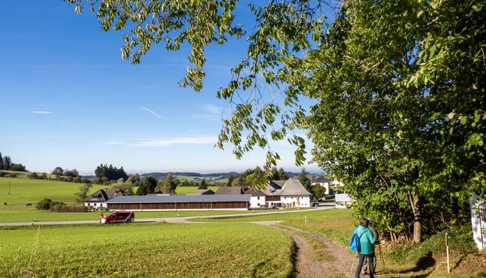 Almwandertag Helfenberg