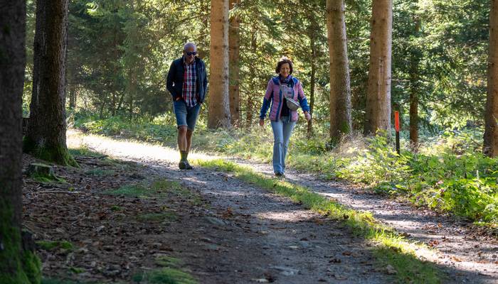Almwandertag Helfenberg