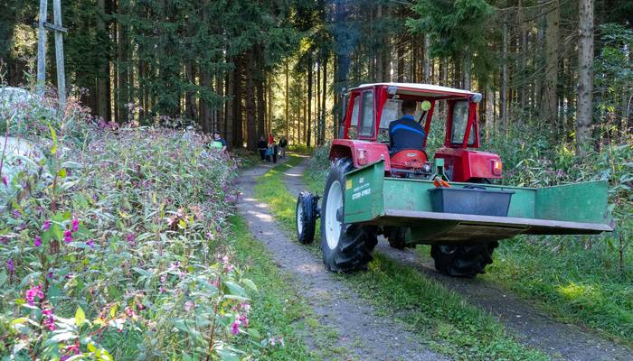 Almwandertag Helfenberg
