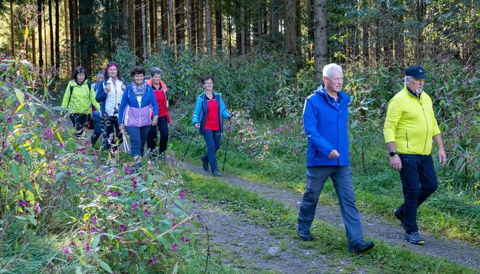 Almwandertag Helfenberg