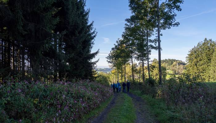 Almwandertag Helfenberg