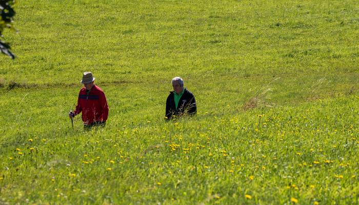 Almwandertag Helfenberg