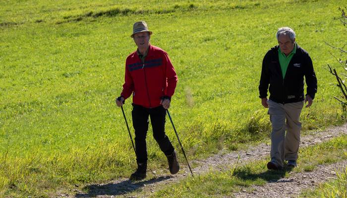 Almwandertag Helfenberg