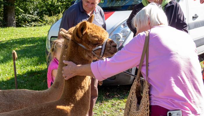 Almwandertag Helfenberg