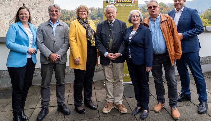 Bezirkstag Steyr-Stadt