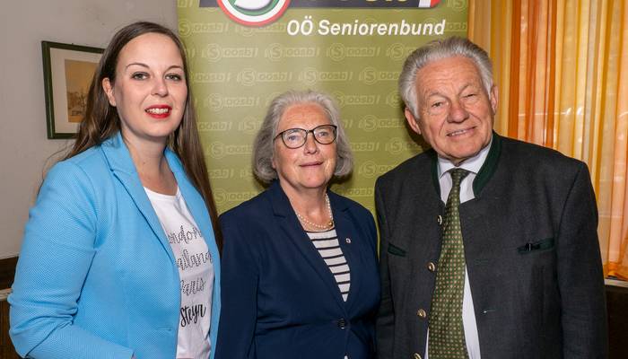 Bezirkstag Steyr-Stadt